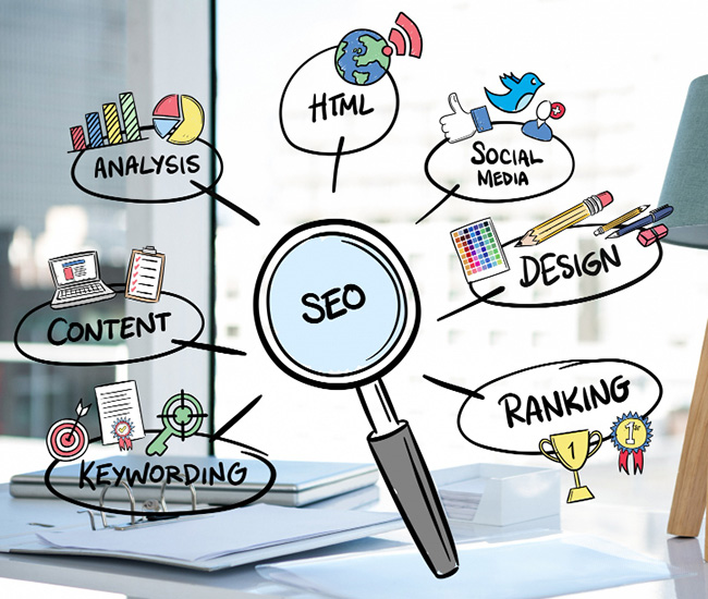 A person uses a laptop displaying a website builder interface, with a smartphone and tablet showing the same website design; green plants are visible at the top corners of the workspace.